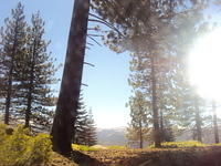 DSC00560