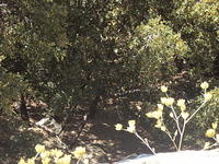 DSC00605