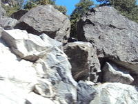 DSC00606