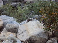 DSC00648