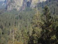 DSC00692