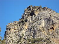 DSC00707
