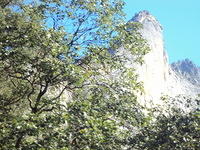 DSC00708