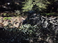 DSC00713