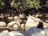 DSC00714