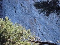 DSC00715