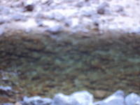 DSC00744