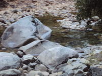DSC00745