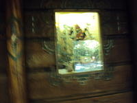 DSC00781