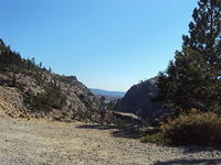 DSC00911