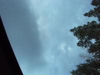 DSC00919