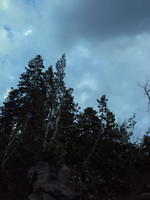 DSC00920