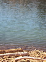 DSC00930