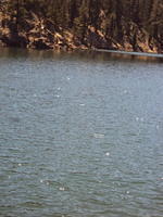 DSC00954