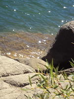 DSC00956