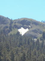 DSC00981