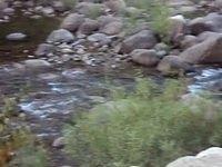 MOV00649