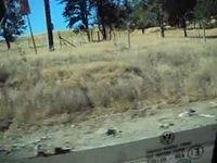 MOV01032