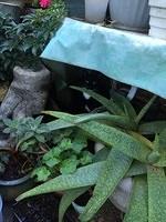 IMG 07021
