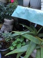 IMG 07031