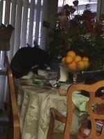 IMG 07141