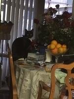 IMG 07161