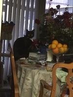 IMG 07171