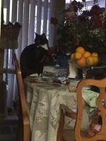 IMG 07181