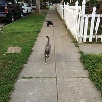 IMG 09631