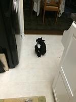 IMG 11241