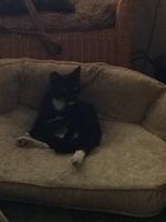 IMG 1146