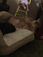 IMG 14541