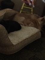 IMG 14551