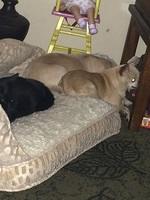 IMG 14561