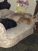 IMG 14571