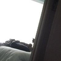 IMG 15961