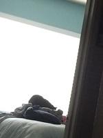 IMG 15981