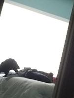 IMG 16001