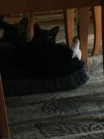 IMG 16061