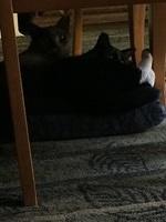 IMG 16071