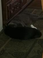 IMG 16311
