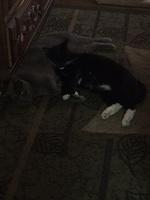 IMG 16321