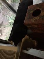 IMG 16711