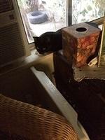 IMG 16721