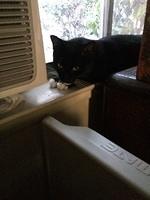 IMG 16731