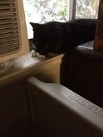 IMG 16741
