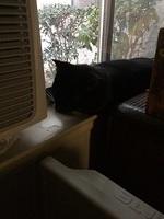 IMG 16781