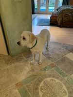 IMG 0029