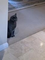 IMG 0137