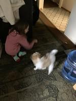 IMG 0168